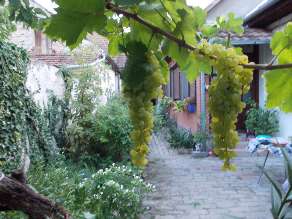 Sobe Gajic Sremski Karlovci Exterior photo